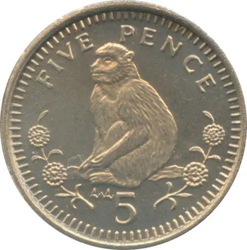 5 Pence Gibraltar Coin First Issued 1990 Obverse Accepted For Exchange